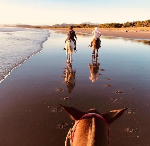 Отель Calamocha Lodge