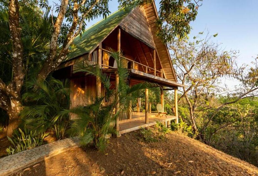 בית מלון כפרי Calamocha Lodge