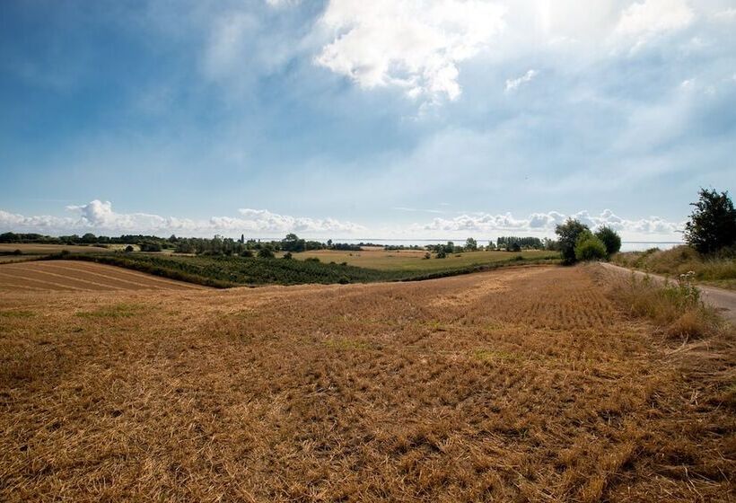 בית מלון כפרי Femø Kro Anno2022