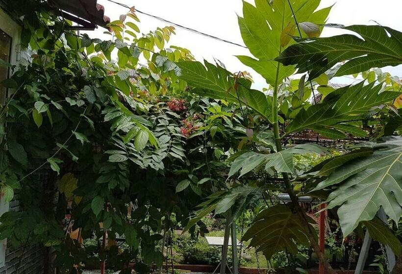 هتل Hana Resort & Bungalow