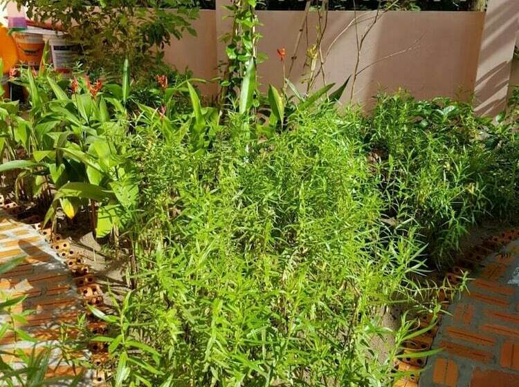 هتل Hana Resort & Bungalow