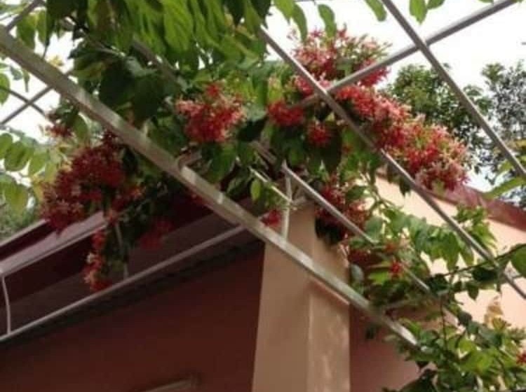 هتل Hana Resort & Bungalow