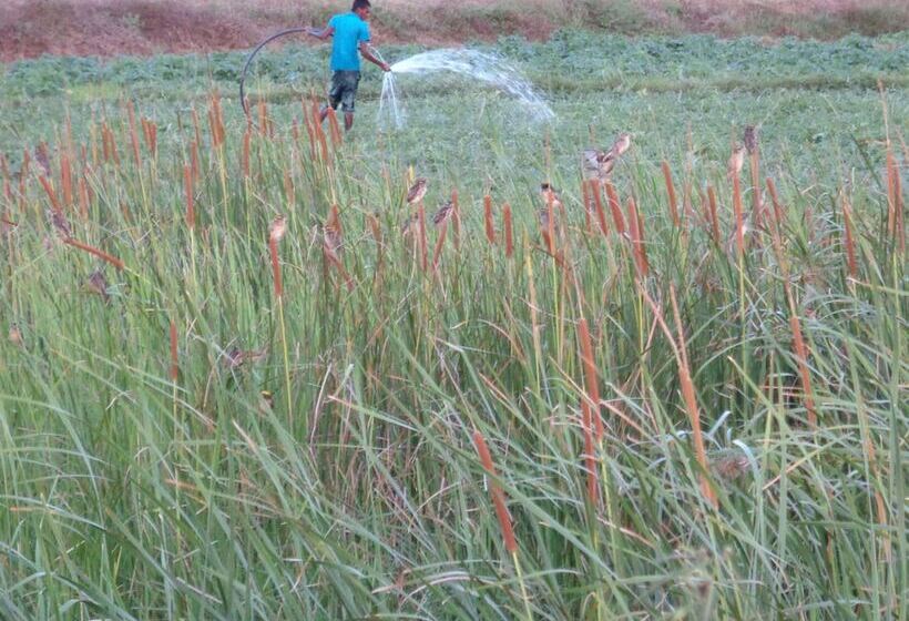 בית מלון כפרי Jungle House Yala