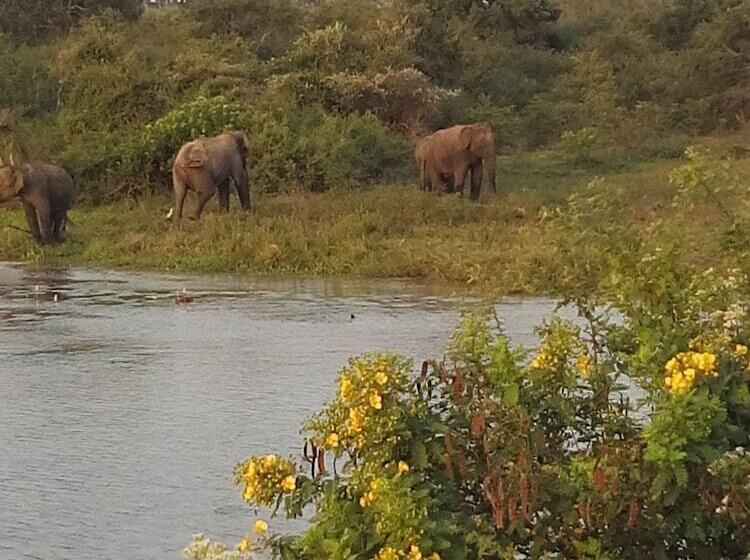 בית מלון כפרי Jungle House Yala