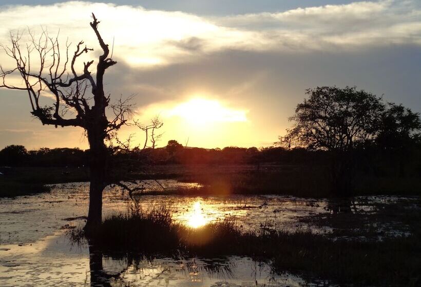 בית מלון כפרי Jungle House Yala