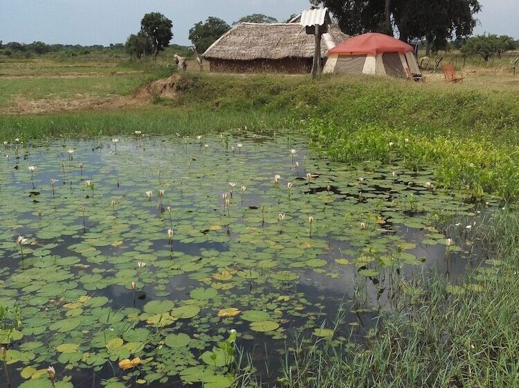 בית מלון כפרי Jungle House Yala