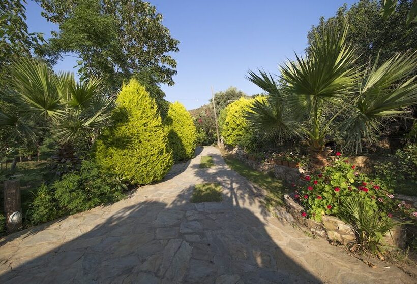 Отель Kızılbük Ahşap Evleri