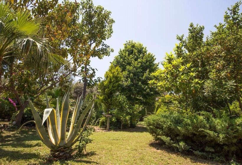 Отель Kızılbük Ahşap Evleri