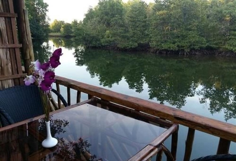 Отель Mangroves & More