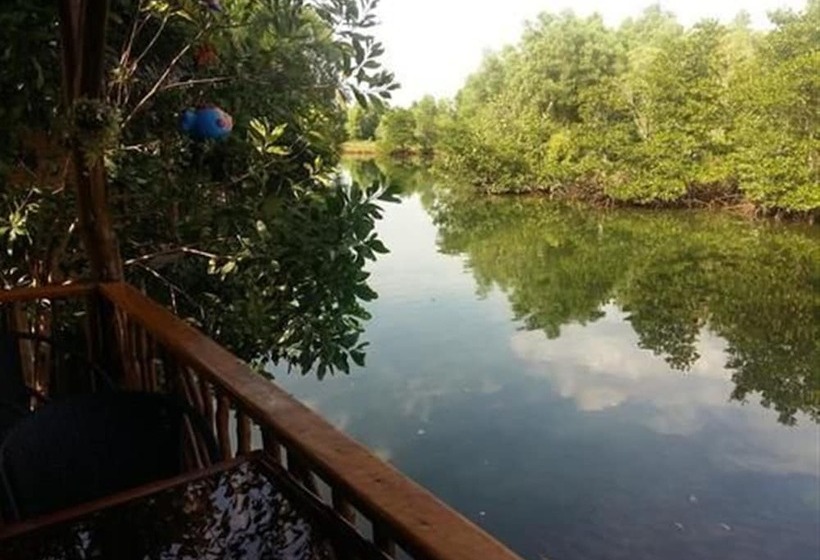 Отель Mangroves & More