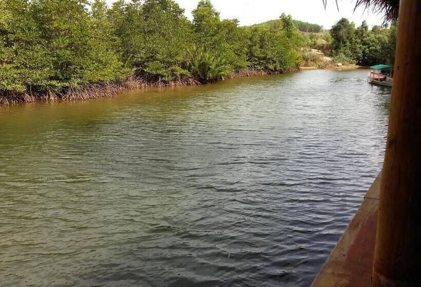 Отель Mangroves & More