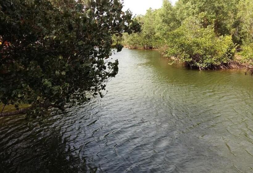Отель Mangroves & More