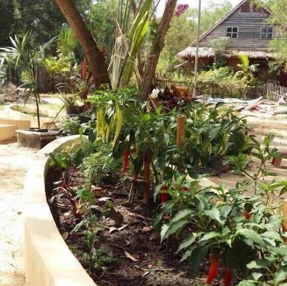 Отель Mangroves & More