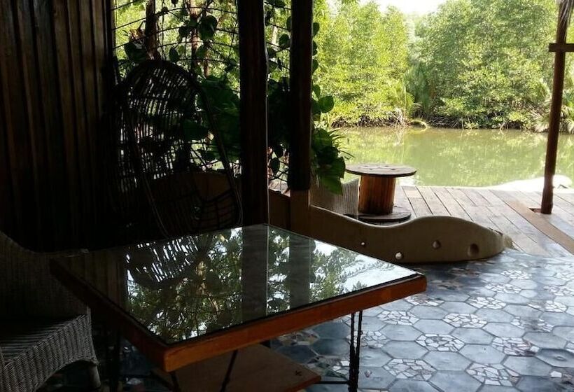 Отель Mangroves & More