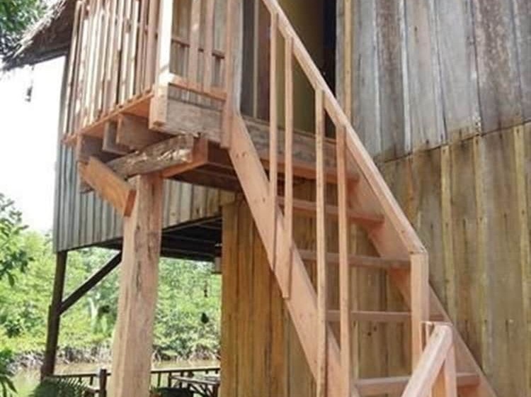 Отель Mangroves & More