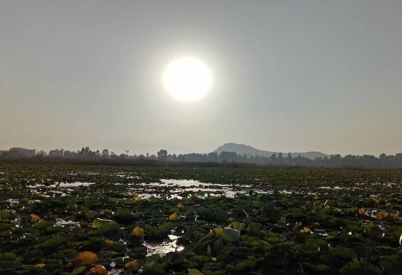 Hotel New Bul Bul Group Of Houseboats