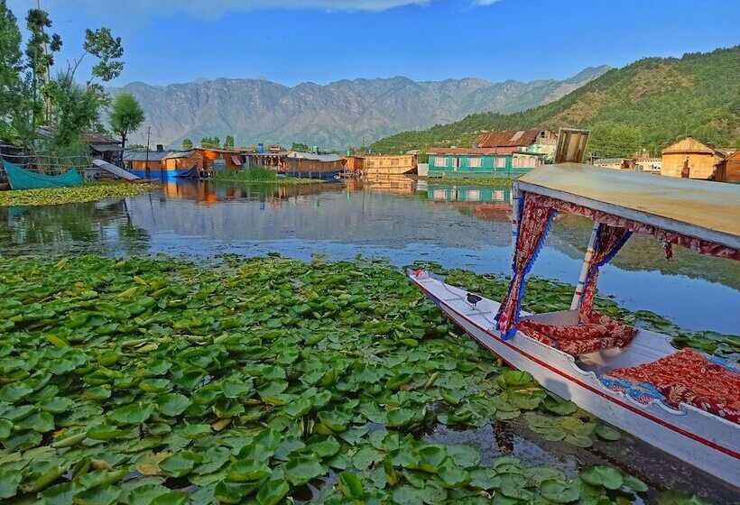 Hotel New Bul Bul Group Of Houseboats