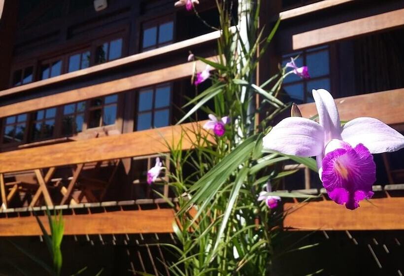 Отель Pousada Mata Nativa