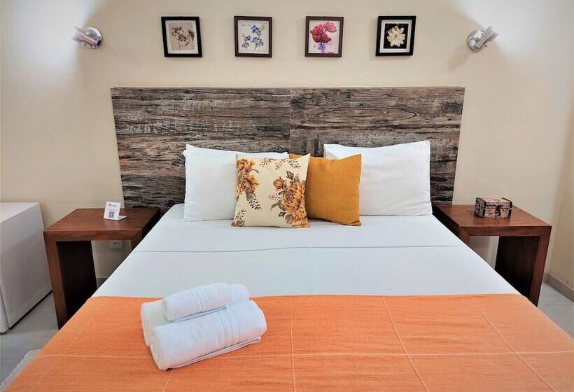 Отель Pousada Santa Fe De Penedo