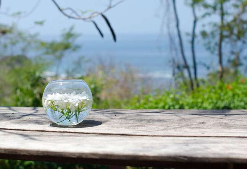 Отель Vista De Olas