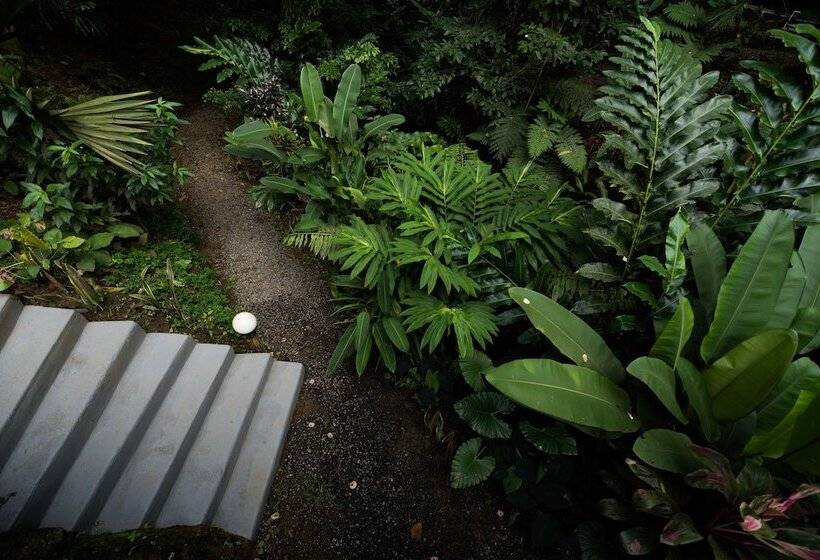 فندق Volcano Gold Loft