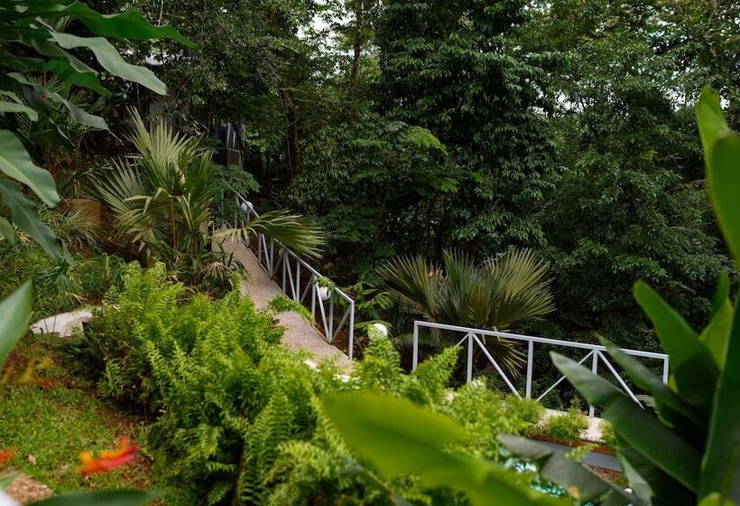 فندق Volcano Gold Loft