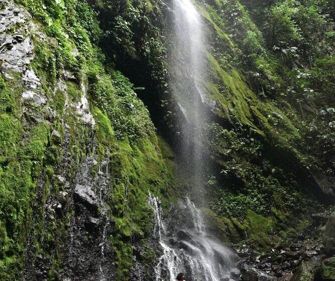 فندق Volcano Gold Loft