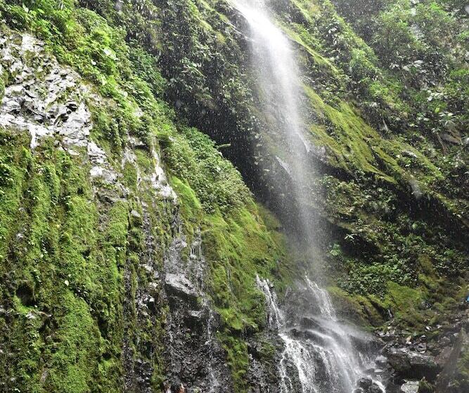 فندق Volcano Gold Loft