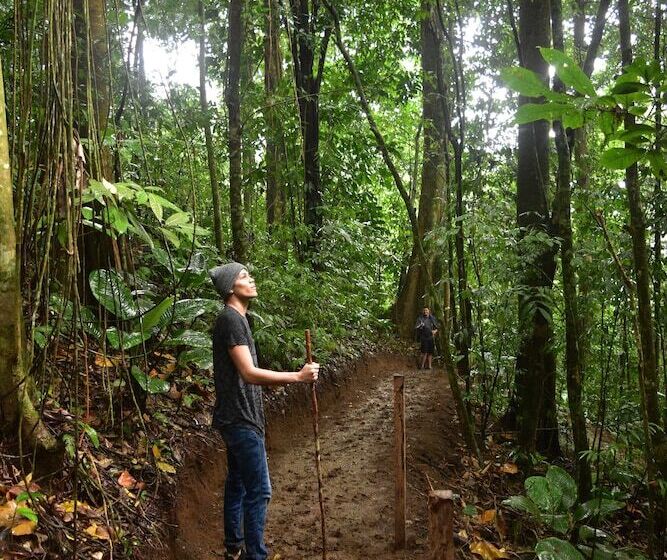 فندق Volcano Gold Loft