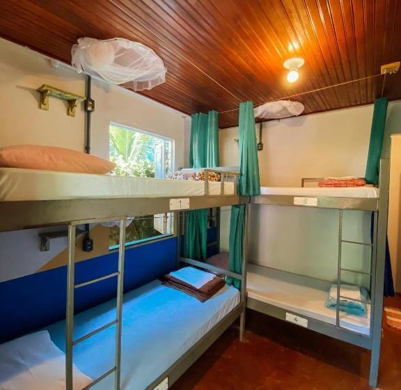 Balaio Hostel Ilha Grande