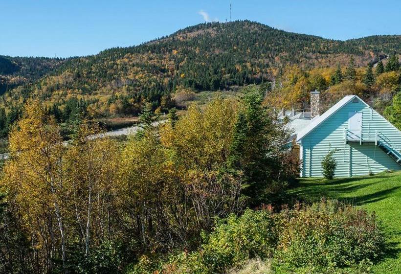 Au Pic De L Aurore Motel Chalets