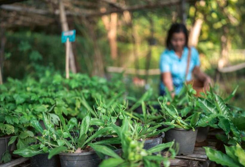 Na Sook Wellness Resort