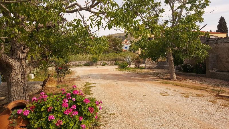 پانسیون Agroktima