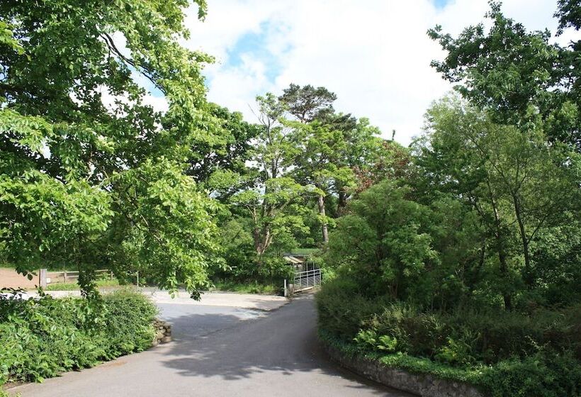 פנסיון Ballylagan Organic Farm