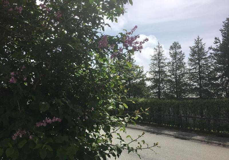 پانسیون Reykjadalur Guesthouse