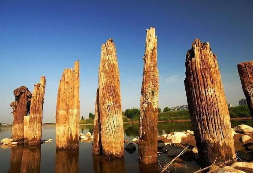 پانسیون Xinhang Business Hotel Xi An