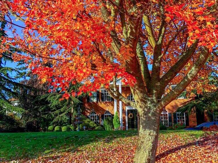 Sea Mist Waterfront B&b