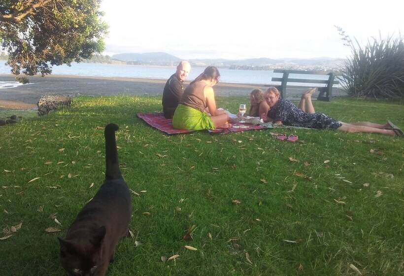 Asure Harbour View Motel And Water Front Apartments