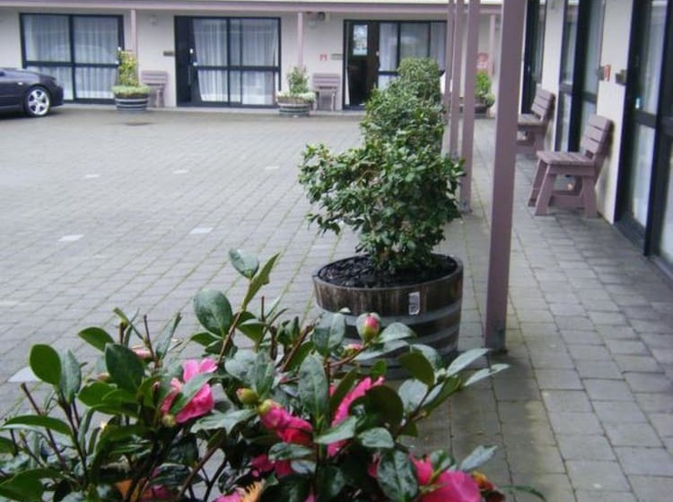 Camellia Court Motel