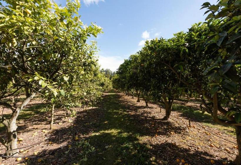 Kerikeri Rose Cottage