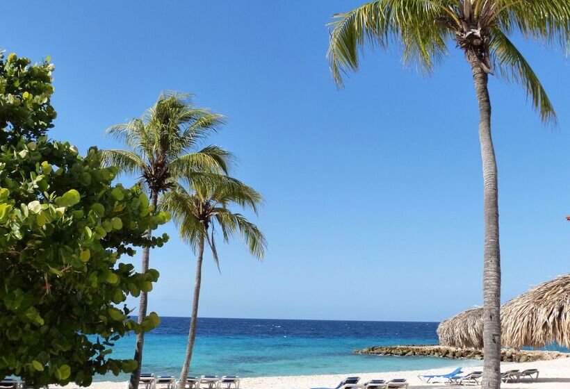 Dreams Curacao Resort, Spa & Casino   All Inclusive