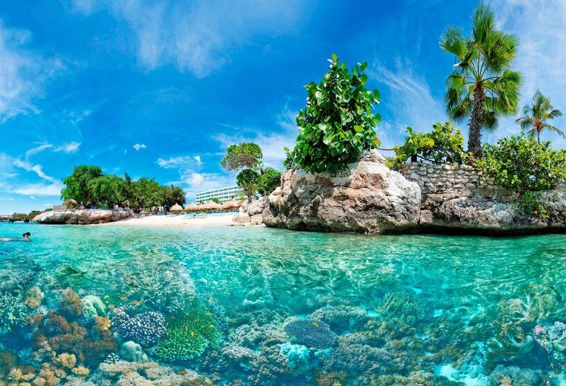 Dreams Curacao Resort, Spa & Casino   All Inclusive
