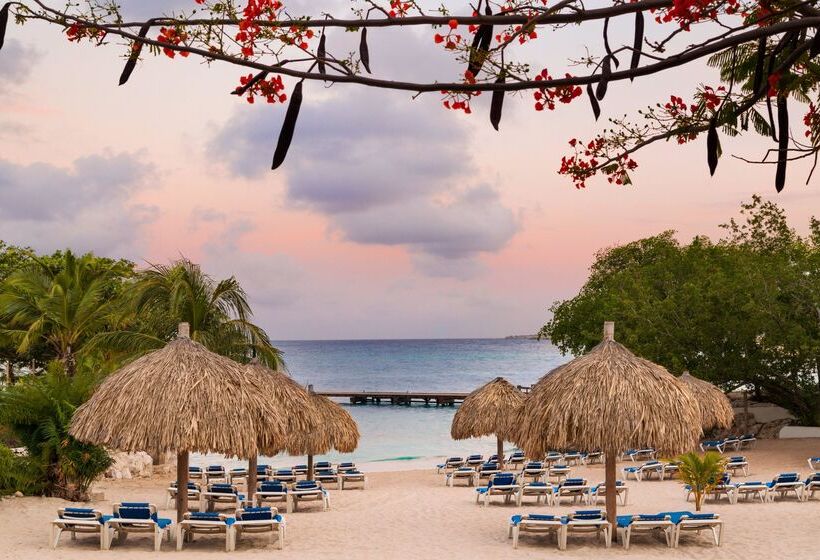 Dreams Curacao Resort, Spa & Casino   All Inclusive