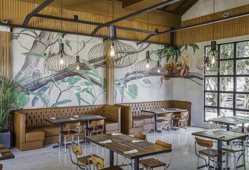 Dreams Curacao Resort, Spa & Casino   All Inclusive