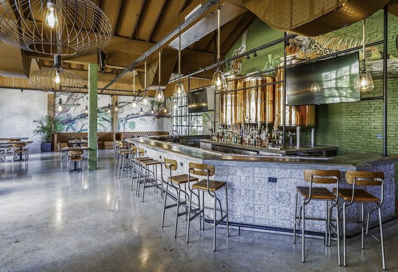 Dreams Curacao Resort, Spa & Casino   All Inclusive