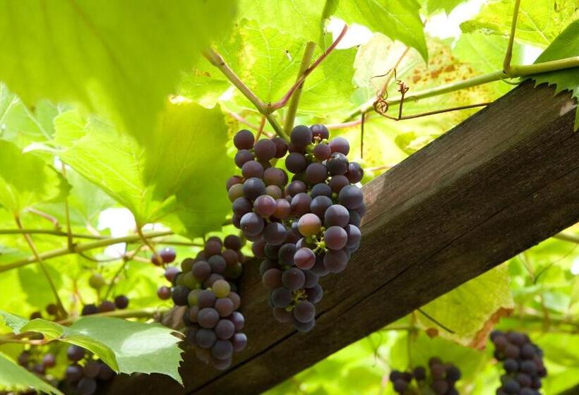 Fletcher Hotel La Ville Blanche