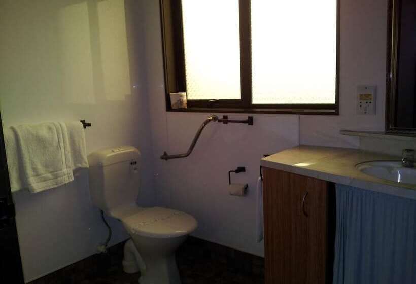 Отель Ace High Motor Inn