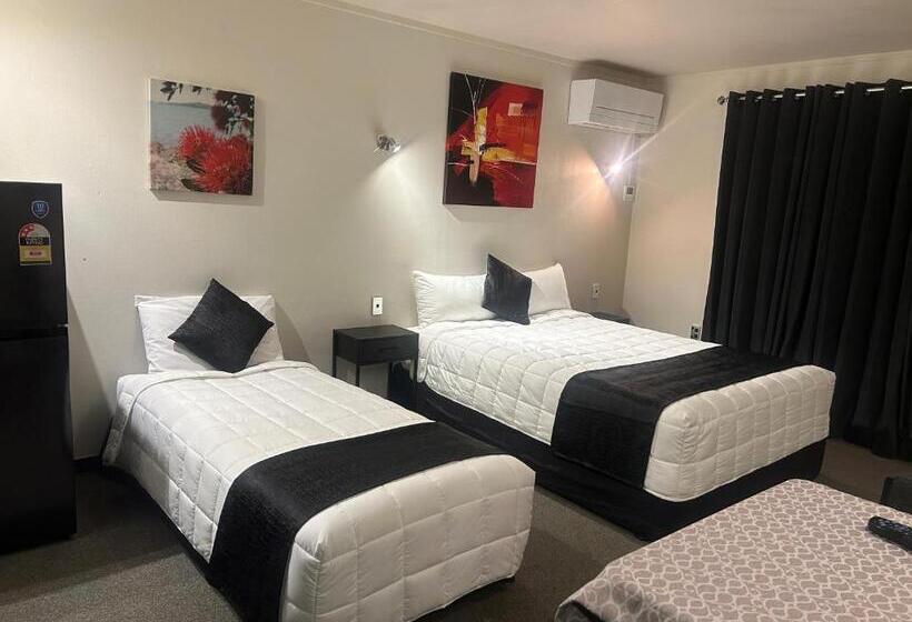 Отель Aquarius Motor Inn