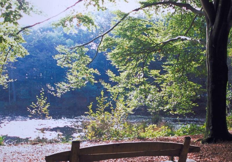 De Zon Hotel & Restaurant By Flow