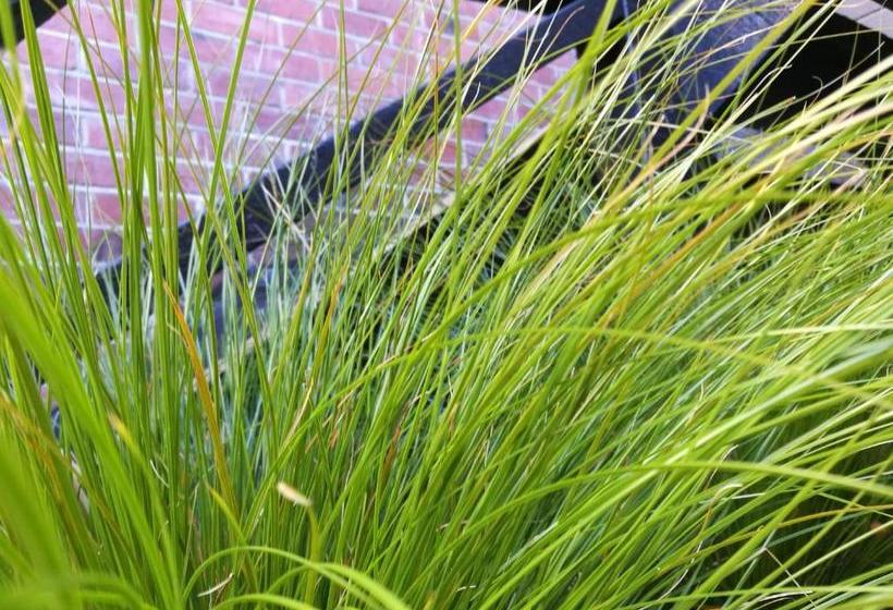 Отель The Hibernian Studio Apartments   4 Latter Street